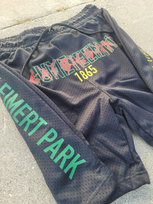 "Juneteenth" Mesh Shorts